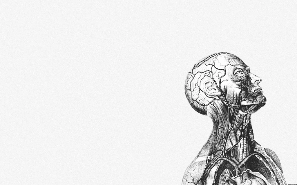 Anatomy Desktop