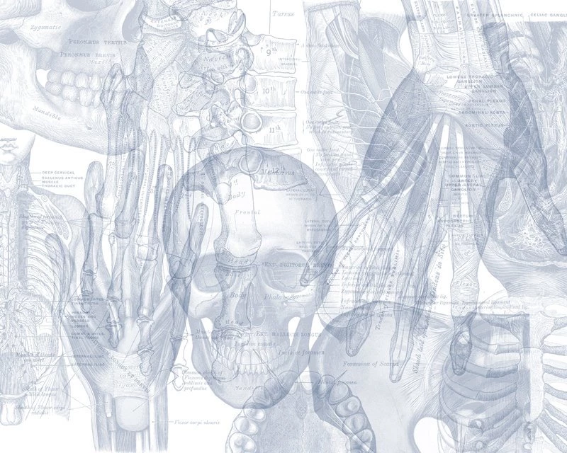 Gray's Anatomy Wallpapers By GreiaPrince On DeviantArt