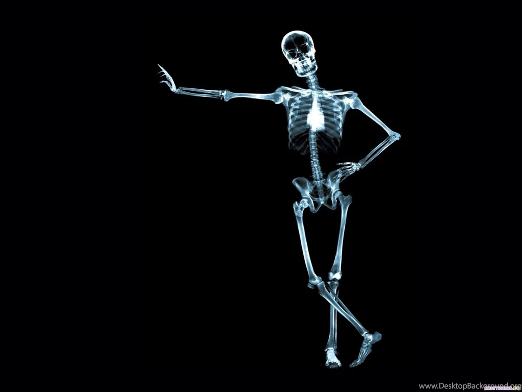 Skeleton Wallpapers Wallpapers Cave