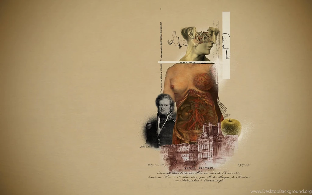 Anatomy Colorlage 1440×900 Wallpapers 896022