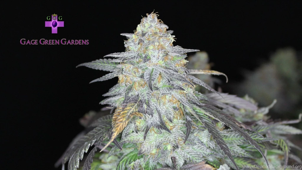 Kush Wallpapers Wallpapers Cave
