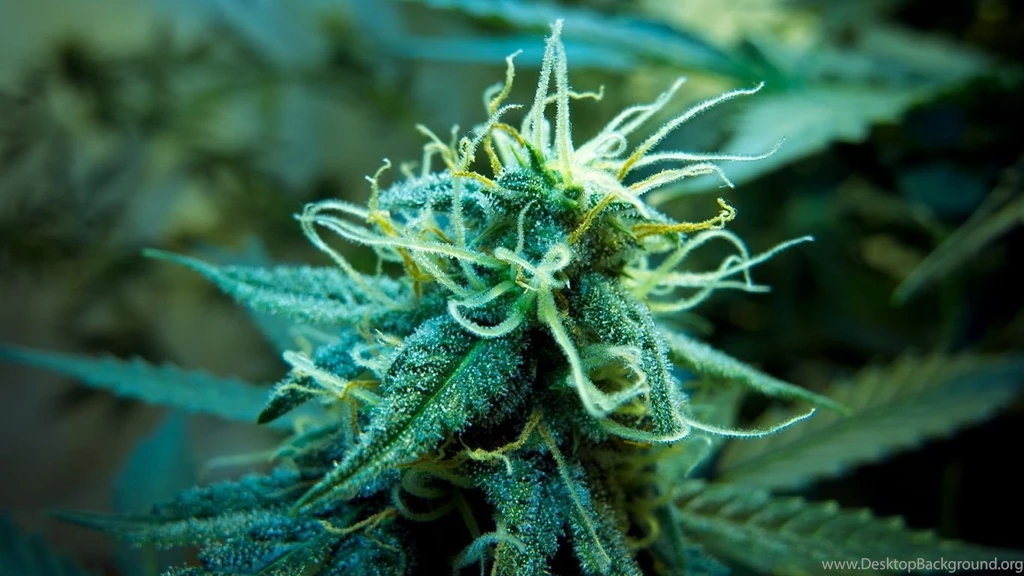 Kush Wallpapers   Wallpapers Cave