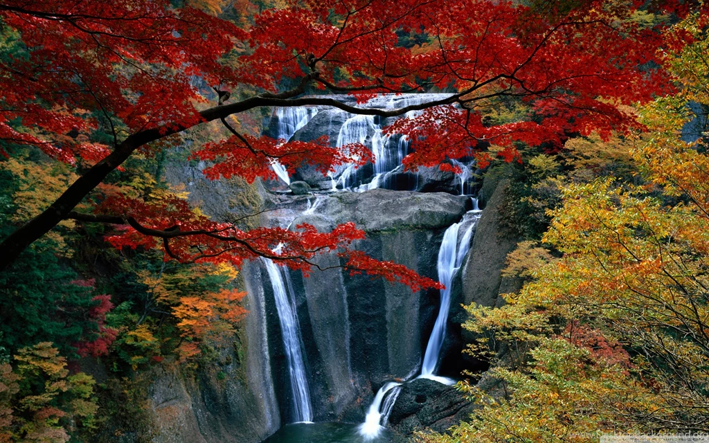 Waterfall, Autumn HD Desktop Wallpapers : High Definition ...