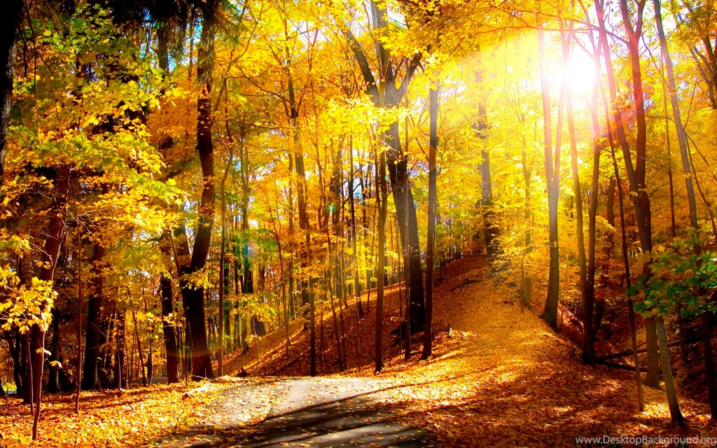 Nature Wallpapers High Quality For Windows 7 Wallpapers