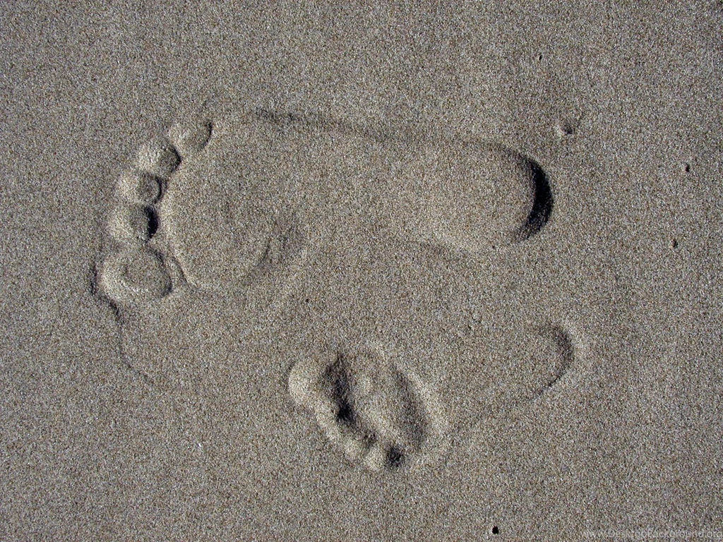 Footsteps On Beach : Desktop And Mobile Wallpapers : Wallippo