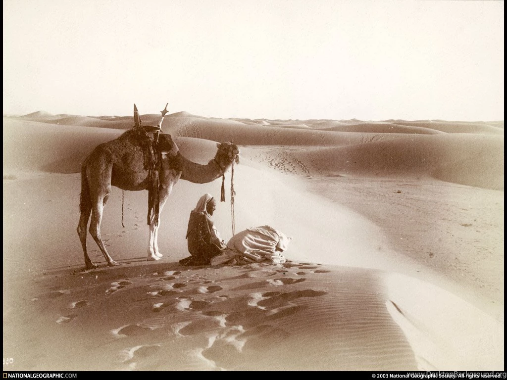 Sahara, Africa, Sahara Footsteps, 1911, Photo Of The Day, Picture ...