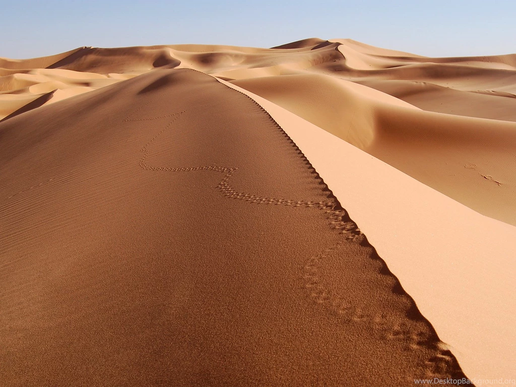 Nature Landscape Images, Sea Sand, Beautiful Footsteps ...