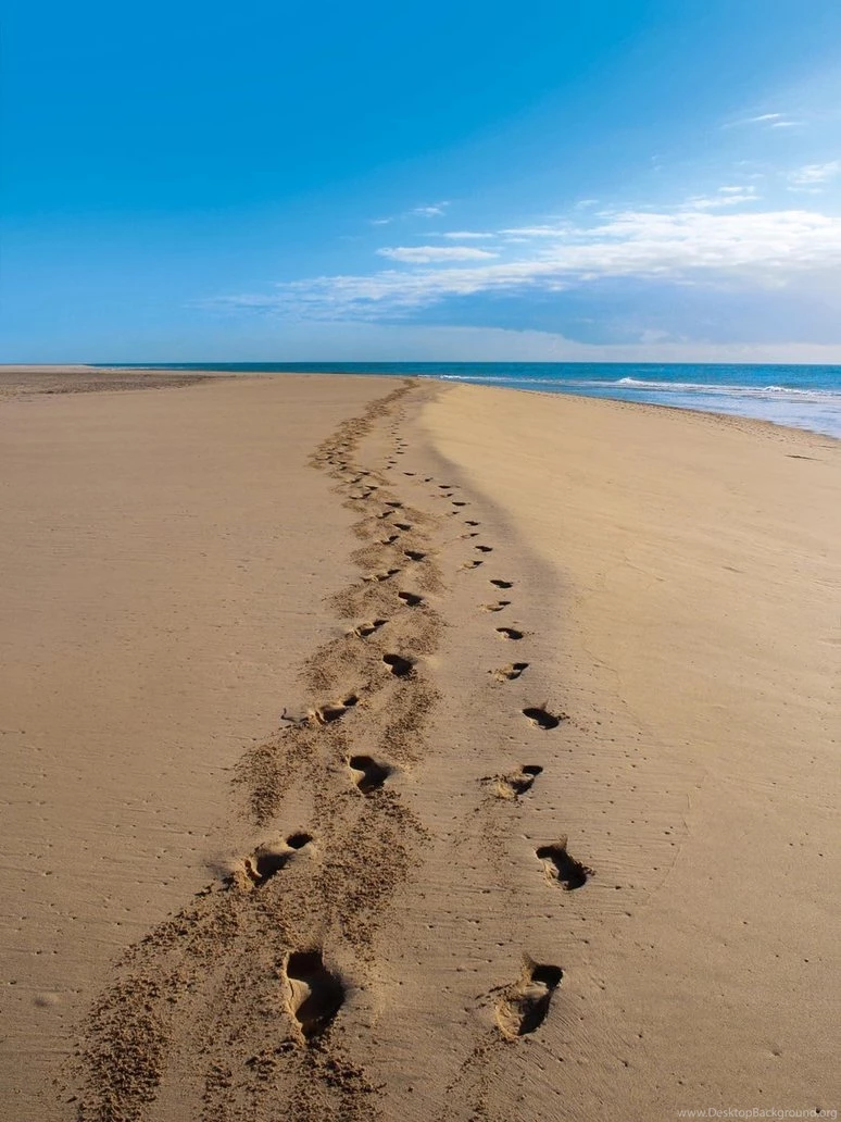 Footsteps Our Garden Ideas