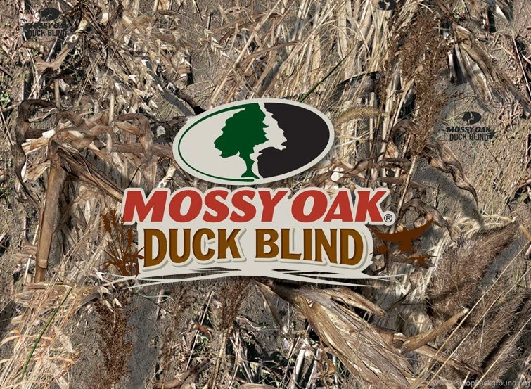 Inside Mossy Oak