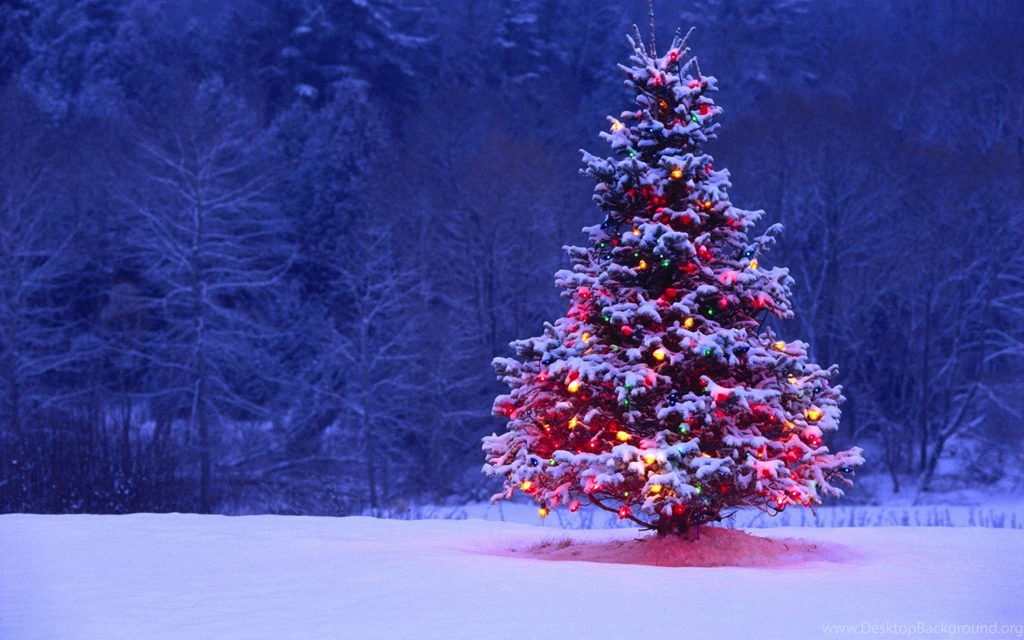 Beautiful White Christmas Tree   Wallpaper.
