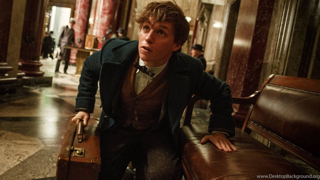 Fantastic Beasts And Where To Find Them Movie Wallpapers 08 ...