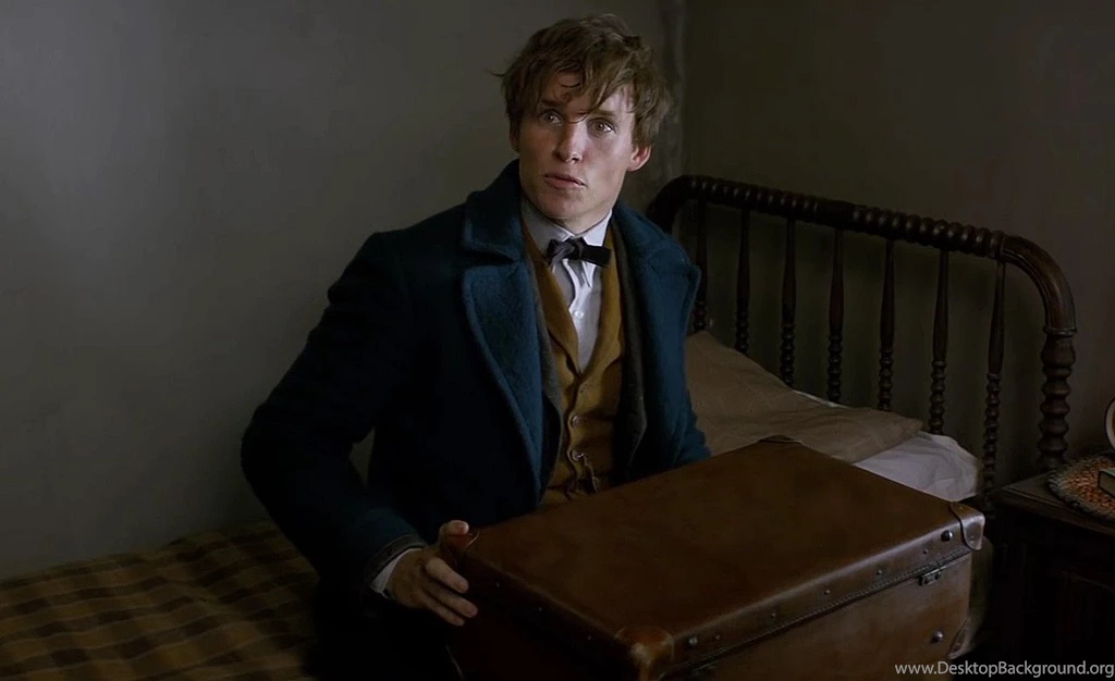 Fantastic Beasts And Where To Find Them Movie Wallpapers 03 ...