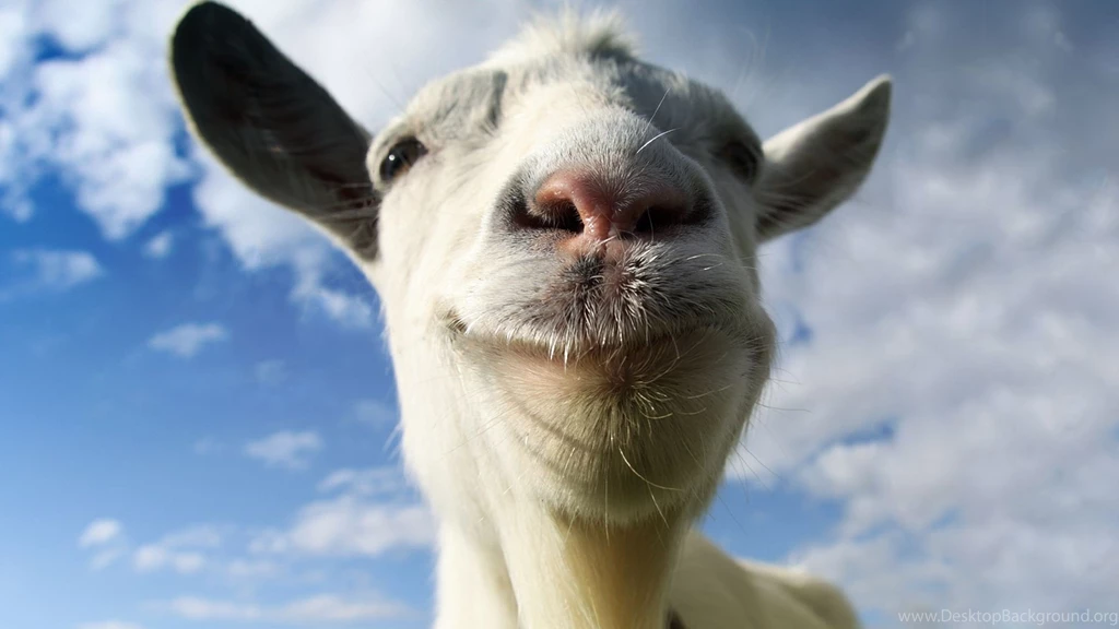 13 Quality Goat Wallpapers, Animals