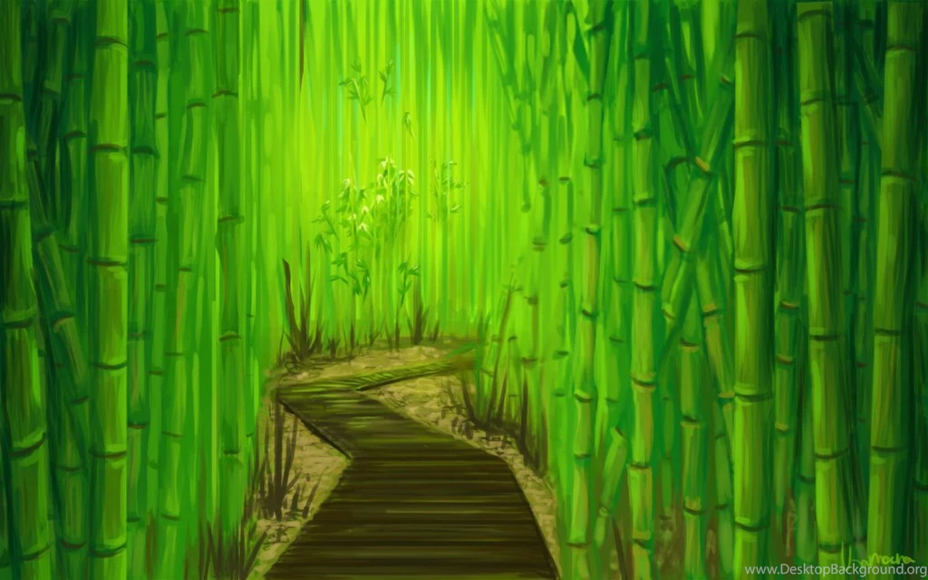 Bamboo Forest By Kamocha On DeviantArt