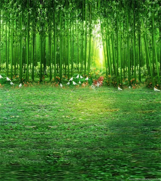 8x12FT Green Bamboo Forest Grove Pigeon Dove Grass Field Wedding ...