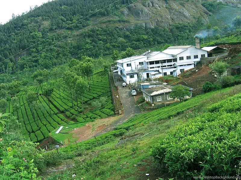 Ooty Tamilnadu Wallpapers   Top Most Beautiful Places In India ...