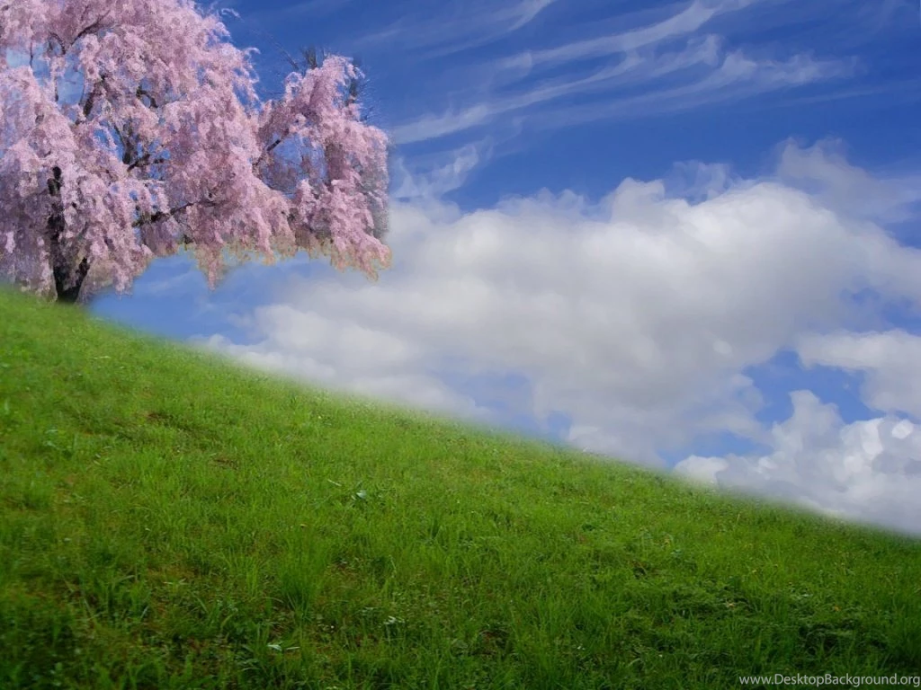 1024x768 Beautiful Day Desktop PC And Mac Wallpapers