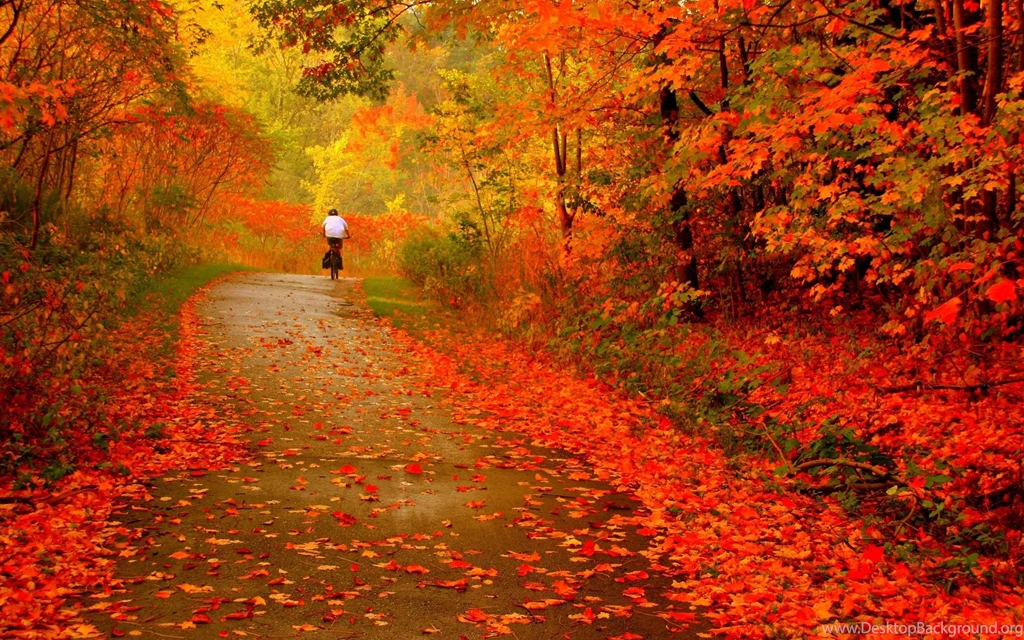 Beautiful Day Wallpapers Wallpapers Hd Spot Nature Wallpapers Hd ...