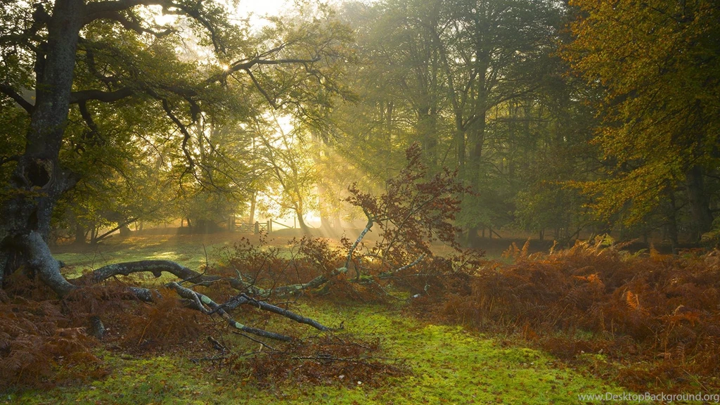 A Beautiful Day In The Country >> HD Wallpaper, Get It Now!
