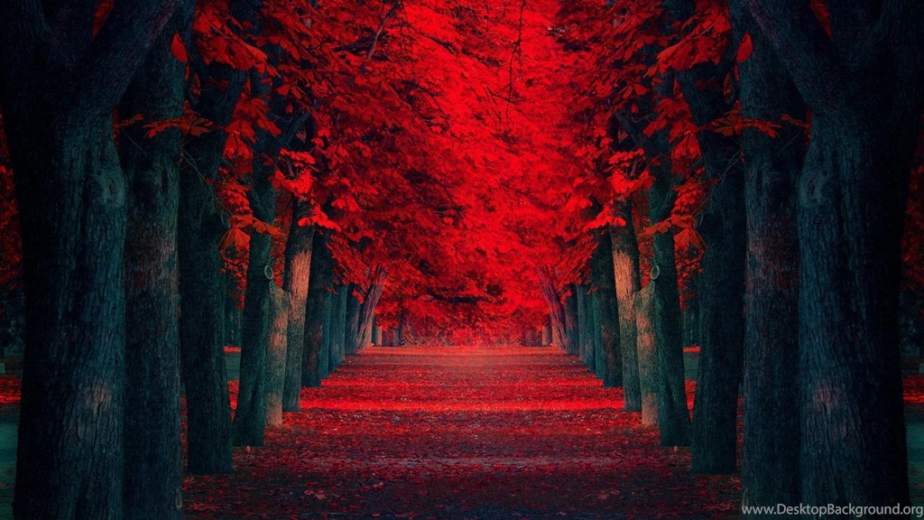 Autumn Breeze Photos