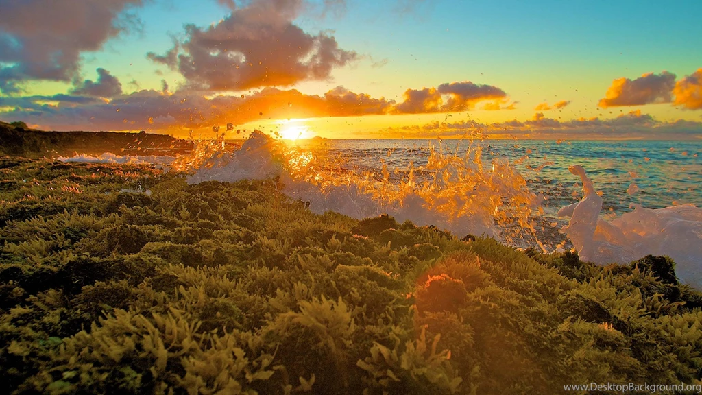 Mokolea Rock Island Kailua Bay Oahu Hawaii (