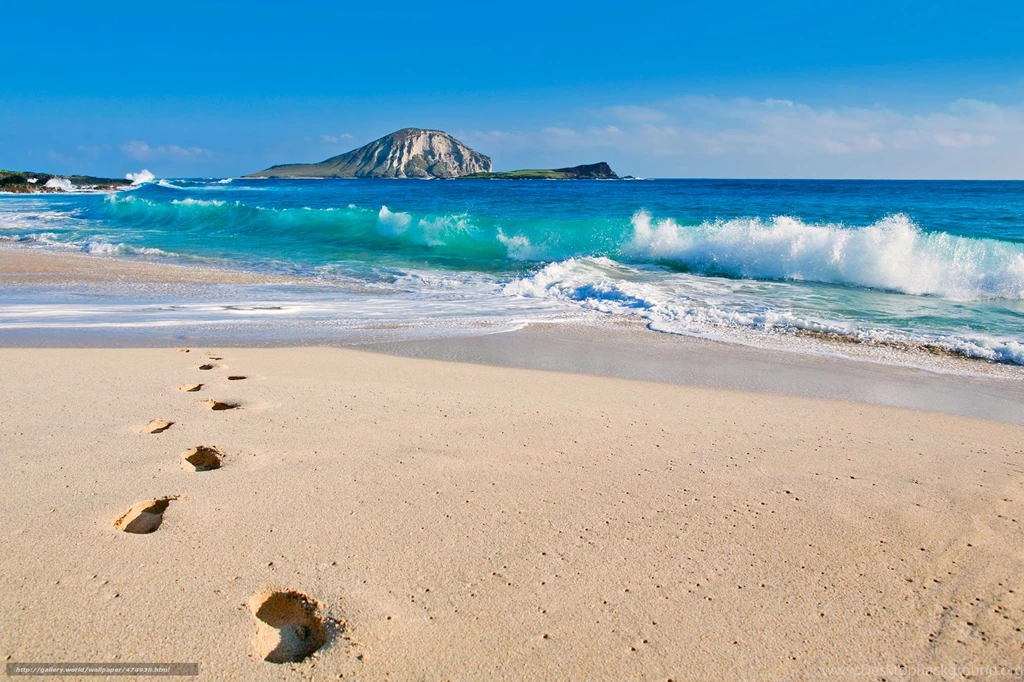 478938_ssha_gavaji_gavajskie ostrova_oahu_rabbit_2048x1365_www.Gde Fon.com.jpg