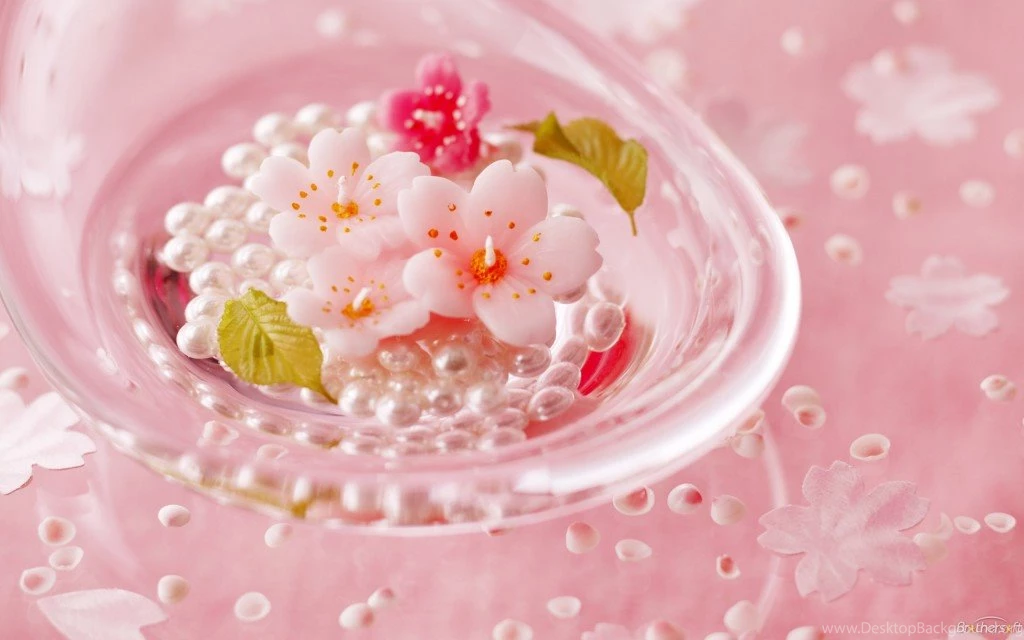 Flower Wallpapers Hd Download Free 25