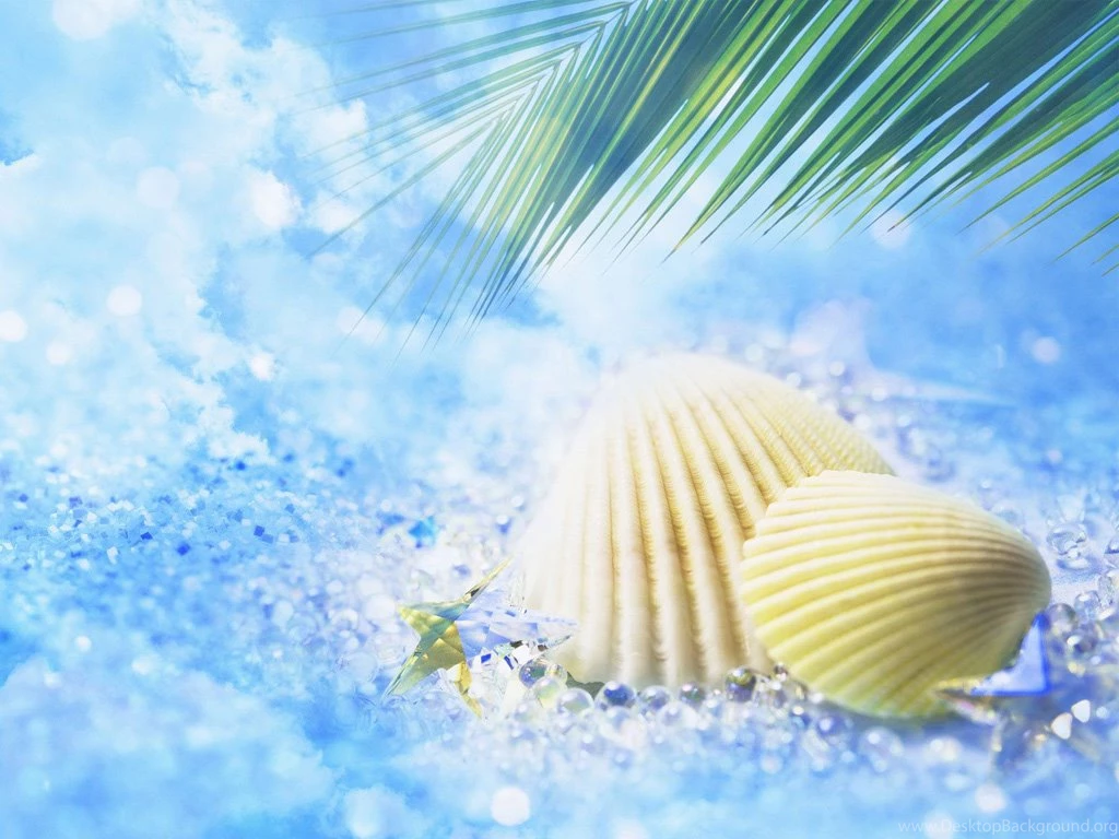 Android Shell Wallpapers