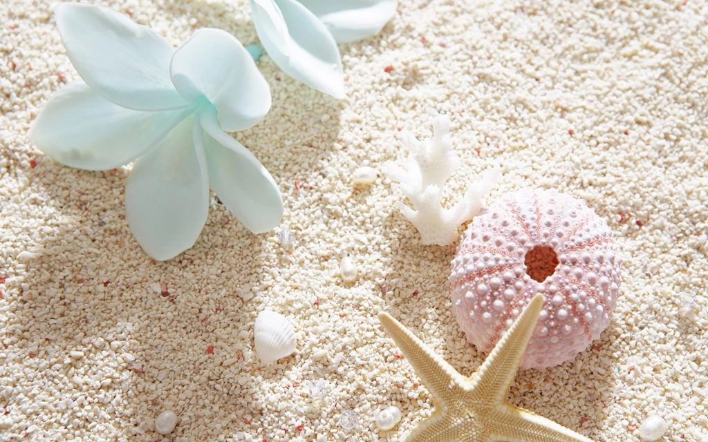 Shells
