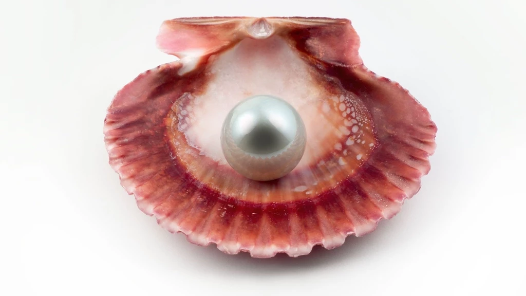 1920x1080 Sea Shell With Pearl Desktop PC And Mac Wallpapers