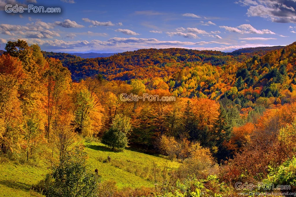 Download Wallpapers Valley Of Fall Color, Autumn, Vermont Free ...