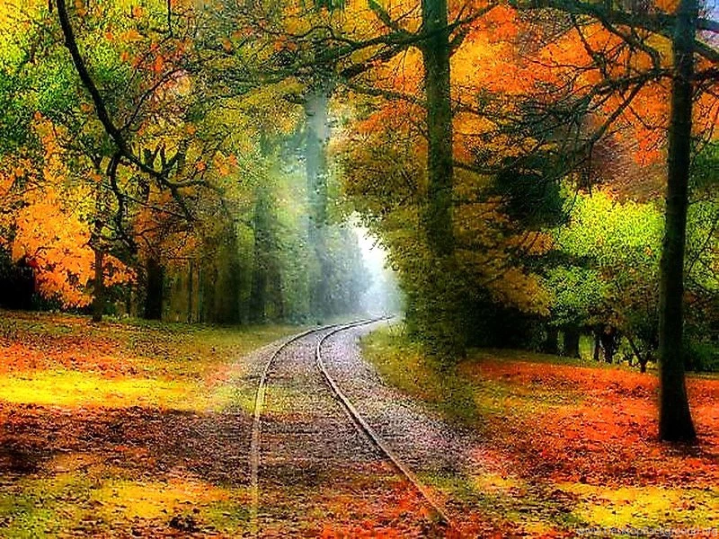 Autumn Colors Autumn Rails – Nature Forests HD Desktop Wallpapers