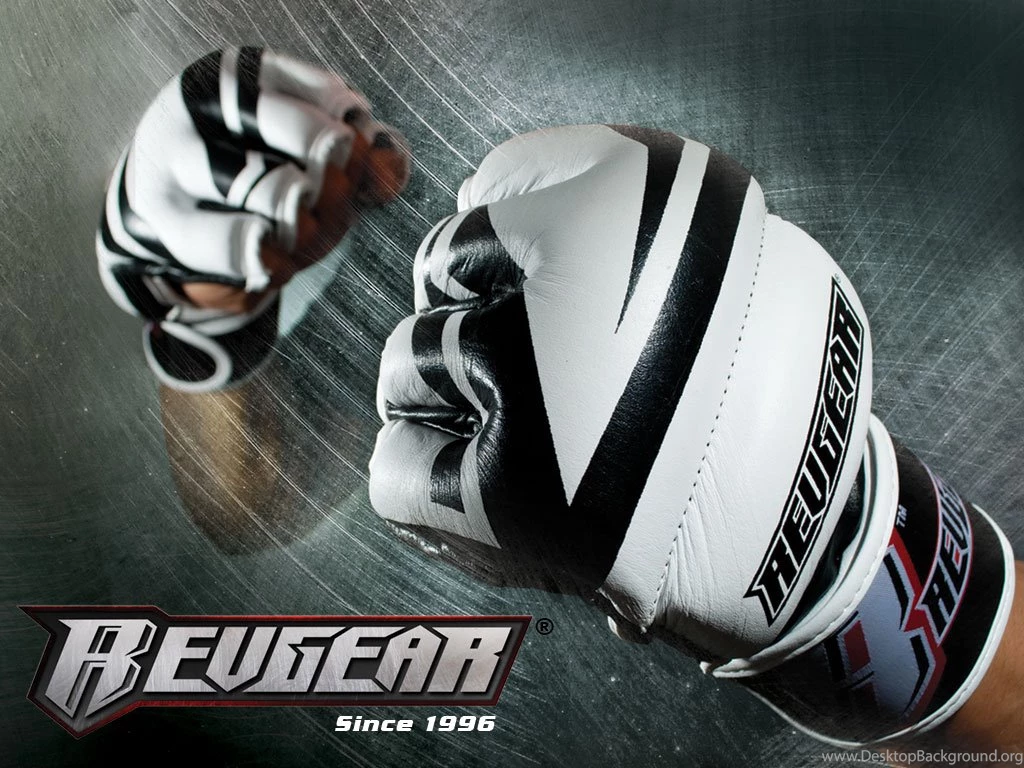 MMA Gloves