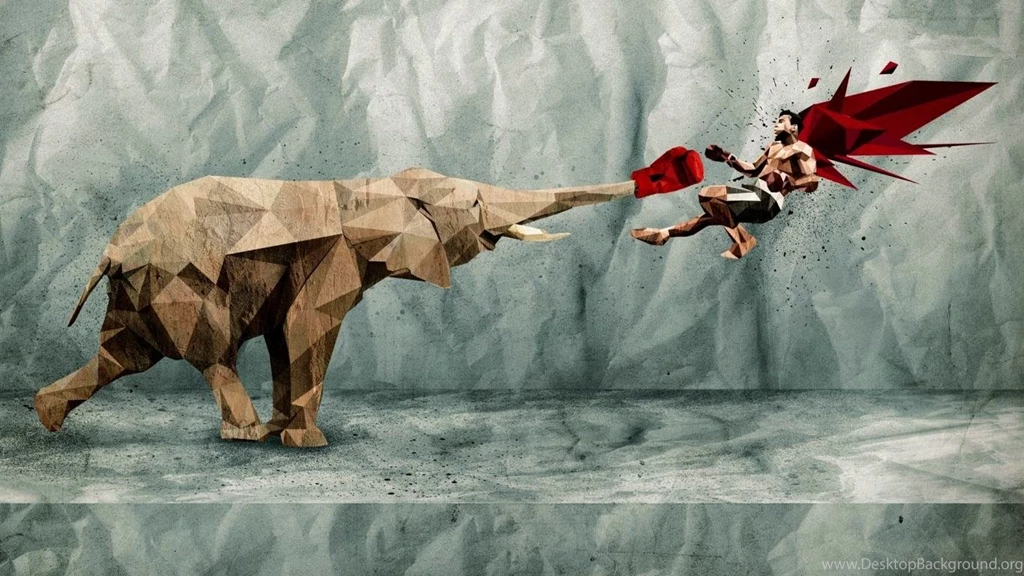 Wallpapers Nature Belly Dance Kickboxing Hd Fighting Images ...