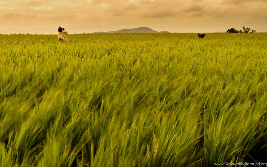 Philippines Wallpapers
