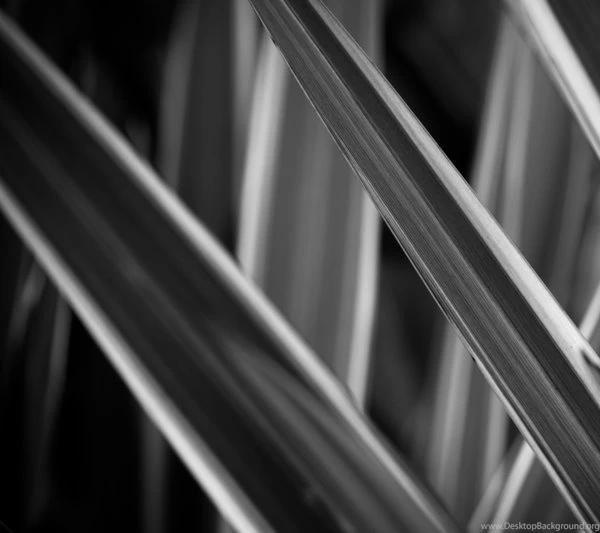 Galaxy Nexus Galaxy Nexus 1440x1280 Wallpapers – Galaxies ...