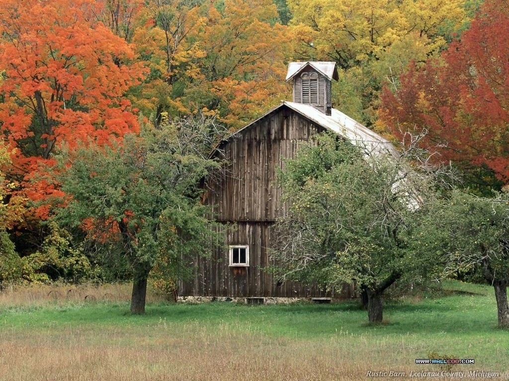 Fall Colors : Magic Of The Nature 1024x768 NO.29 Desktop Wallpapers ...