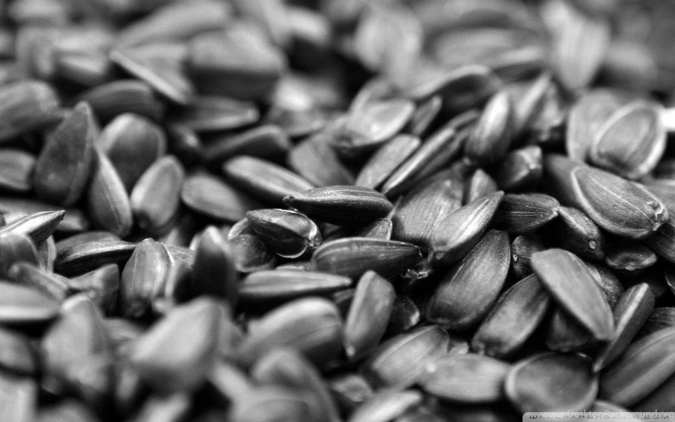 Sunflower Seed HD Desktop Wallpapers : Widescreen : High Definition ...
