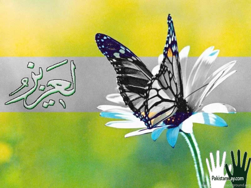 Wallpapers D Name Of Allah Islamic Names 800x600