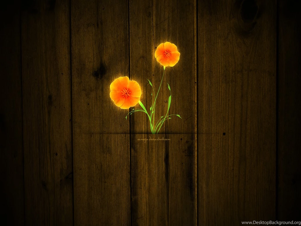 Zedge android wallpapers 3 48363 HD Wallpapers