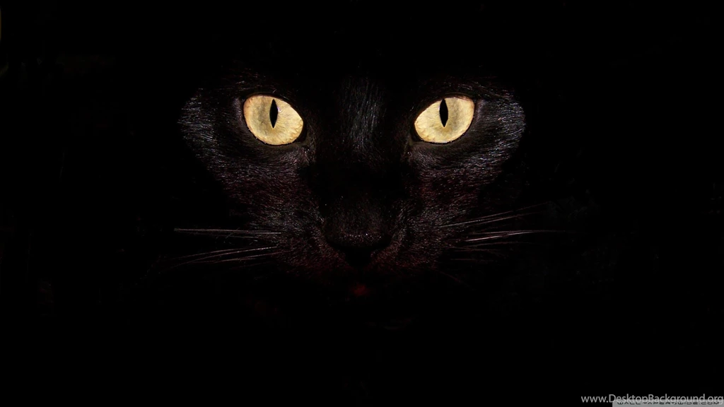 Laptop, Cat, Eyes, Black, Cartoon, 2560x1440 HD Wallpapers And FREE ...