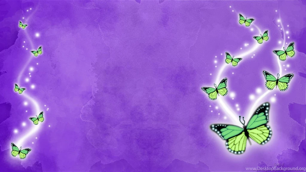 Butterfly Beautiful Wallpapers High Resolution