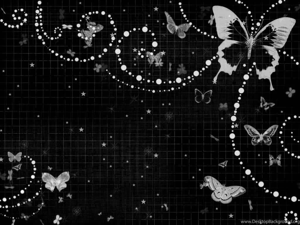 Most Beautiful Butterflies Wallpapers