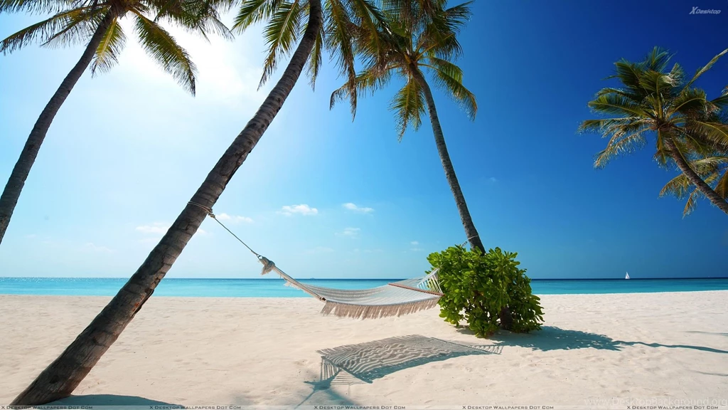 Beach Scene Backgrounds Wallpaper Images