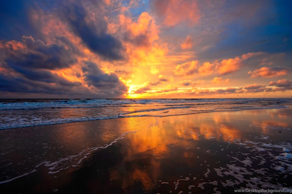 Beach Sunrises Beach Scene (id: 179253) – BUZZERG