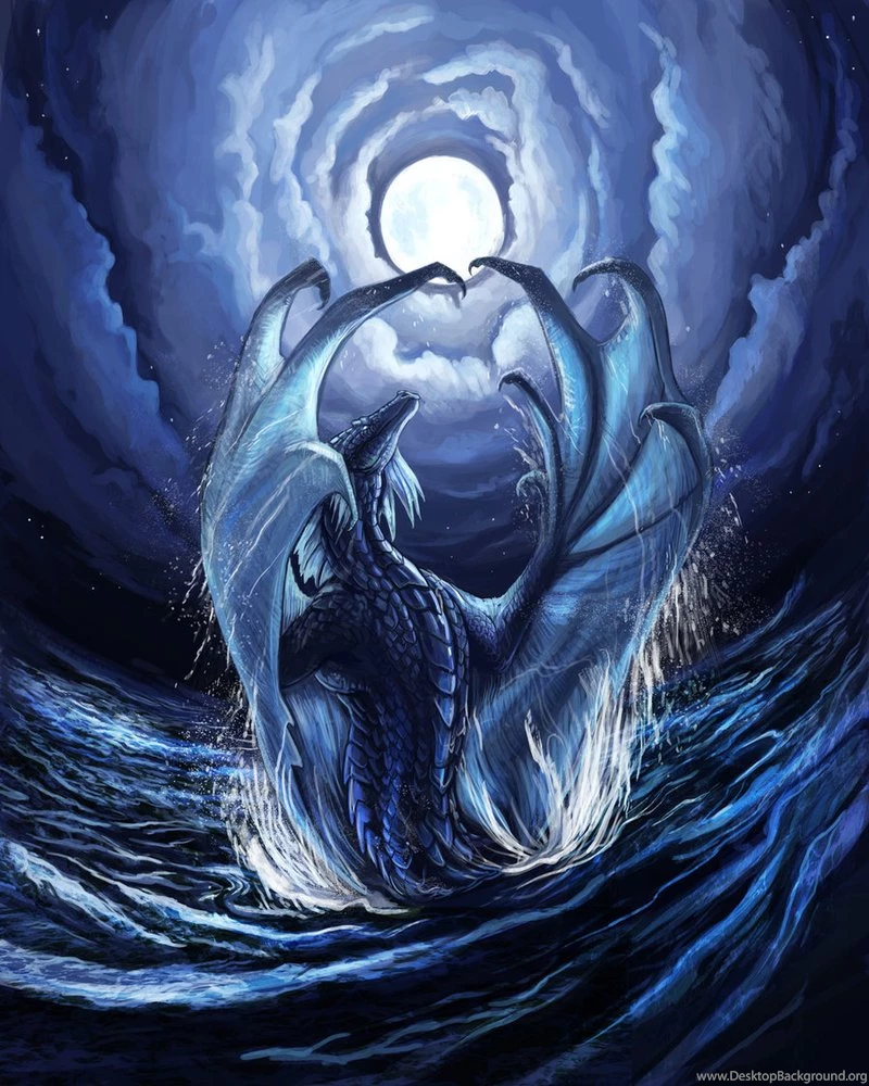 Graphics Backgrounds, 340797 Water Dragon Wallpapers, By Steve ...