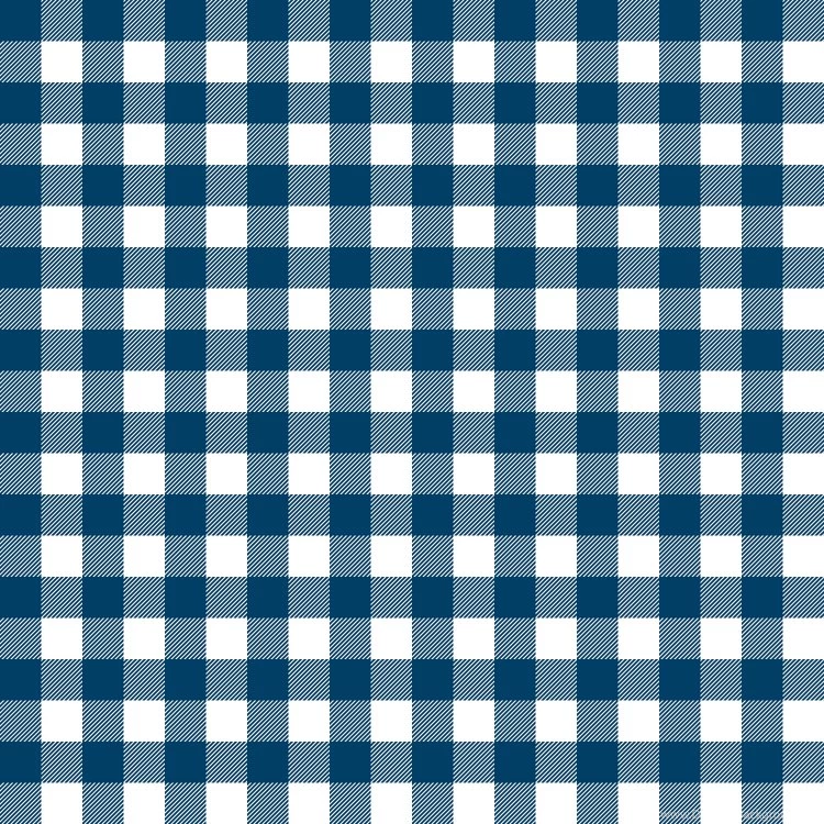 Blue And White Gingham Wallpapers Weavingmajor Spoonflower
