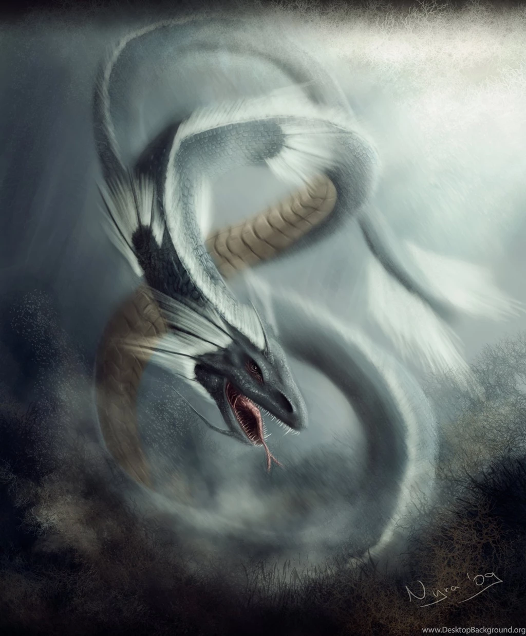 Water Dragon By Nyra119 On DeviantArt
