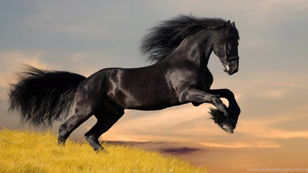 1280x720px