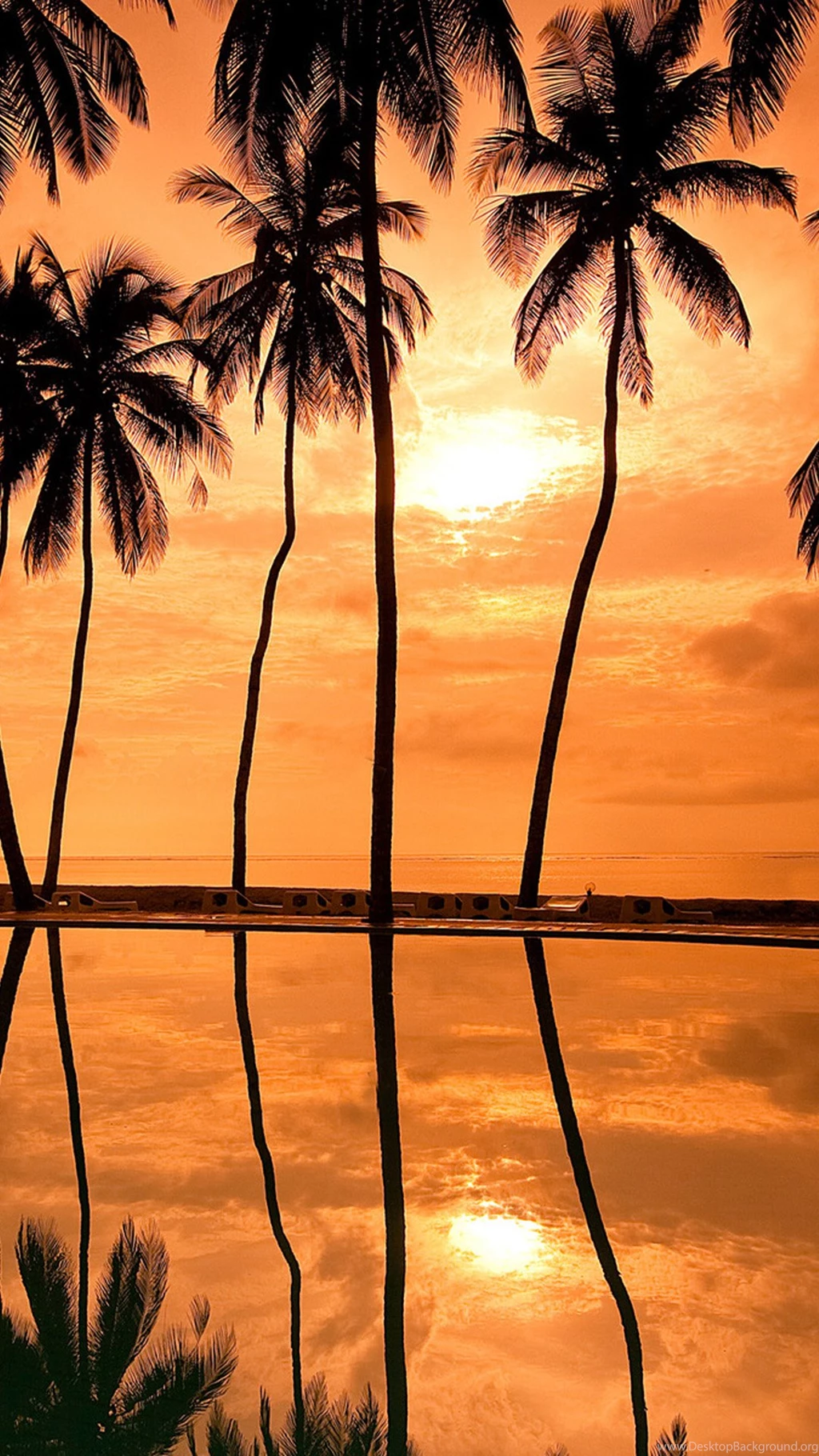 Hawaii Sunset Coast Wallpapers For Iphone 6 Plus Iphone 6 Plus Desktop Background